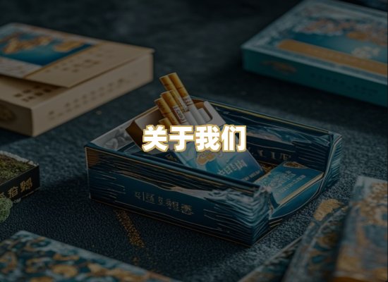 关于我们